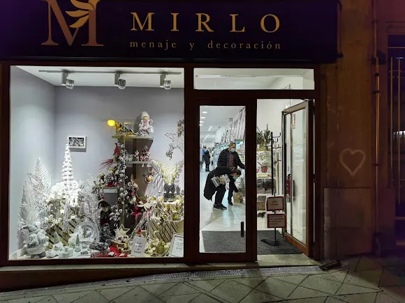 Mirlo - Ourense