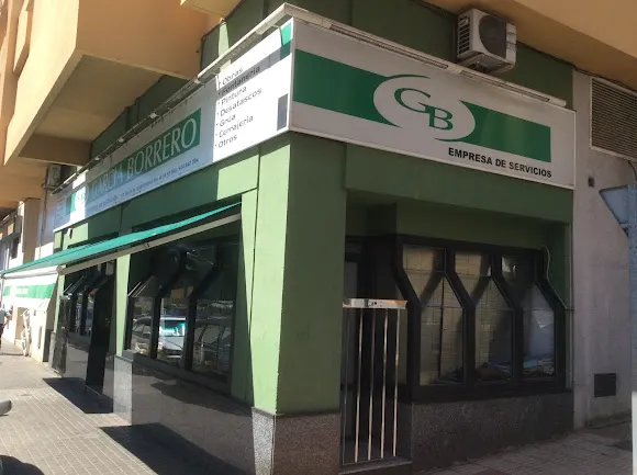 Desatascos García Borrero - Badajoz