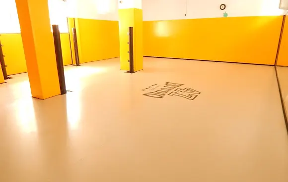 Tatami Olimpic Riu