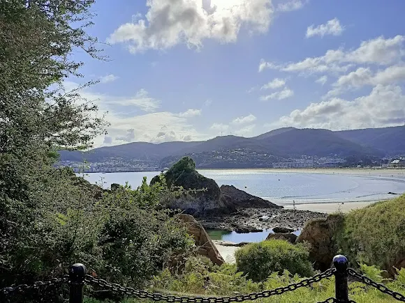 López Pigueiras S. A. - Viveiro