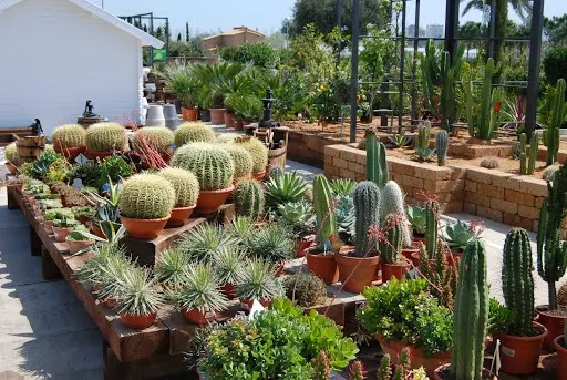 Artiflora home & garden - Castell-Platja d'Aro