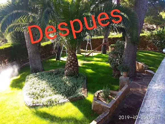 TITO-CASA-JARDIN-MULTISERVICIOS - Naquera