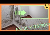 Elimina manchas de humedad en paredes: Guía práctica