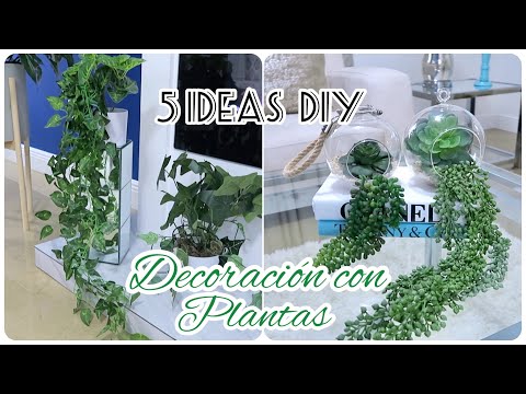 Añadiendo plantas a la decoración: Cómo hacerlo