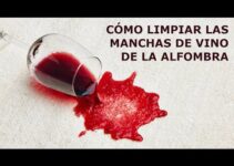 Elimina manchas de vino en la alfombra: Guía práctica