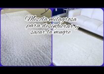 Guía para limpiar una alfombra de lana: consejos rápidos